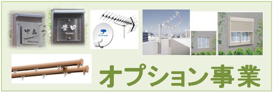 オプション事業
