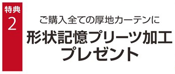 形状記憶プリーツ加工プレゼント